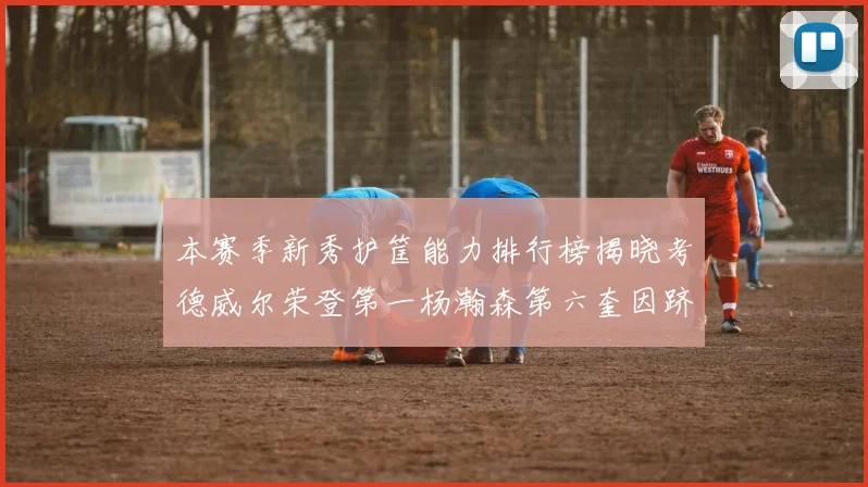 本赛季新秀护筐能力排行榜揭晓考德威尔荣登第一杨瀚森第六奎因跻身前十